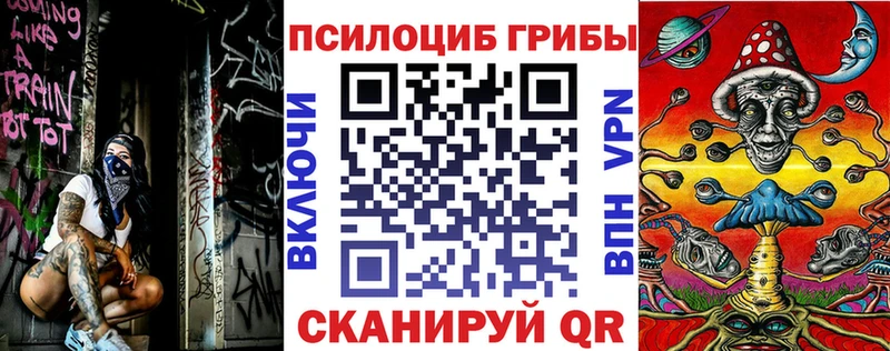 Псилоцибиновые грибы GOLDEN TEACHER  ОМГ ОМГ вход  Тольятти 